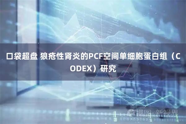 口袋超盘 狼疮性肾炎的PCF空间单细胞蛋白组（CODEX）研究