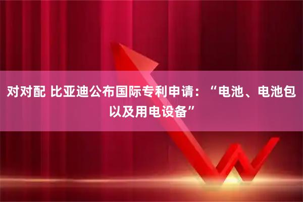 对对配 比亚迪公布国际专利申请：“电池、电池包以及用电设备”
